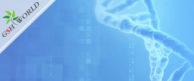 煙酰胺和nmn區(qū)別？煙酰胺單核苷酸(NMN) 的化合物