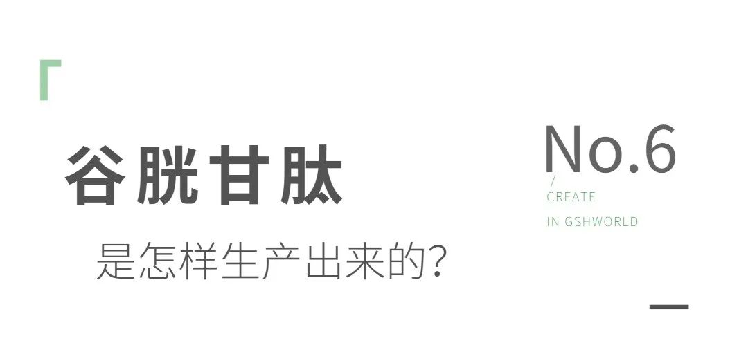 谷胱甘肽是如何生產(chǎn)的？
