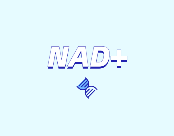 選擇NMN還是NR？