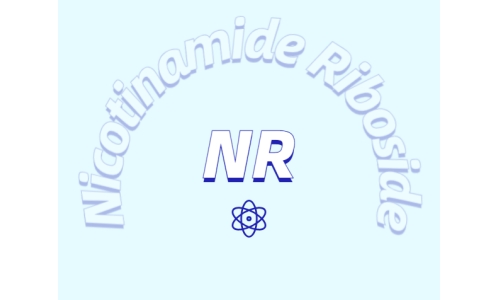 煙酰胺核糖氯化物是如何增加NDA+水平的？